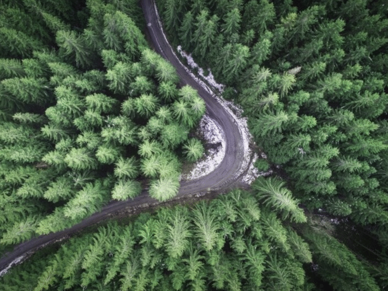 Drone Videography (1 hour)
